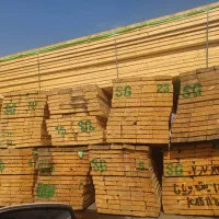 انواع چوب راش و روس در سایز های مختلف|عمده‌فروشی|چهاردانگه (تهران), |دیوار