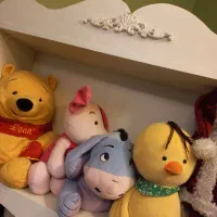 کتابخانه یا قفسه اسباب بازی