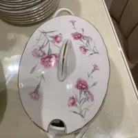 ظروف چینی گل میخکی