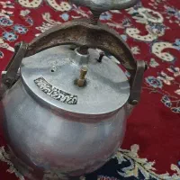 زودپز سالم سالم در حد