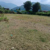 زمین 600 متری شکار بر اصلی توسکستان|فروش زمین و ملک کلنگی|گرگان, |دیوار