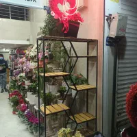 قفسه و جا گلدونی و رگال لباس پروفیل|کتابخانه، شلف، قفسههای دیواری|بهارستان, |دیوار