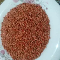 بذر چغندر اورسلینا