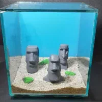 آکواریوم فایتر|ماهی|تهران, توحید|دیوار