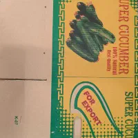 تولید و پخش انواع کارتن تره بار یزد|عمده‌فروشی|کهنوج, |دیوار