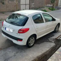 ۲۰۷ تمام رنگ