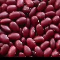 لوبیا زود پخت