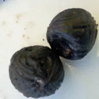کارشناسی خریدارسنگ یاقوت الماس وشهاب سنگ یشم درمان|جواهرات|تهران, علم و صنعت|دیوار