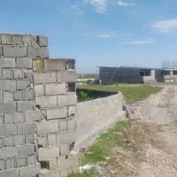 زمین205متری-با-جواز-جنگلی