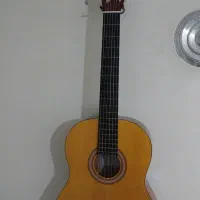 گیتار آریا اندونزی خوش صدا نونو