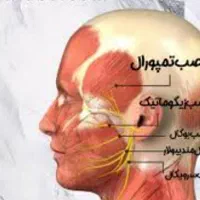 تخفیف ویژه اموزش تزریق بوتاکس و فیلر|خدمات آموزشی|ارومیه, |دیوار