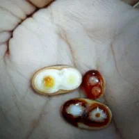مهره های دمی با دعا
