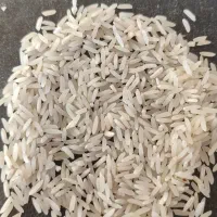۶۵۰کیلو برنج محلی ندا پایزه معطر