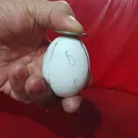 دفع چشم زخم و نظر