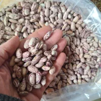 فقط برنج|خوردنی و آشامیدنی|اراک, |دیوار