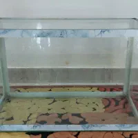 آکواریوم