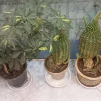 سوالات نهایی باجواب فیزیک دوازدهم