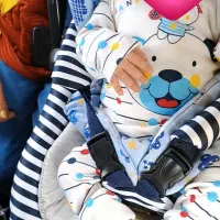 کریر در حد نو|کالسکه و لوازم جانبی|برازجان, |دیوار