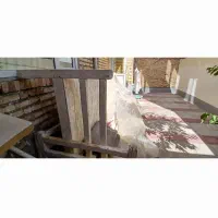 سرویس تخت خواب ۲ نفره سالم به همراه تخت الاچیگی|تخت و سرویس خواب|سلماس, |دیوار