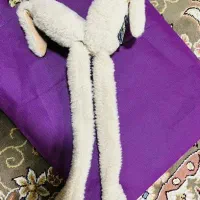 گوشگیر پمپی