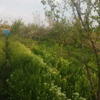 ۷۵۰متر سندتک برگ فروش بصورت نقد یا تهاتر بازمرگان|فروش زمین و ملک کلنگی|مشهد, میان ولایت|دیوار