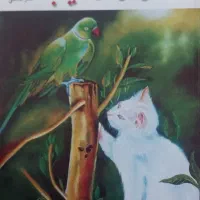 کتاب آموزش طراحی و نقاشی زیبا