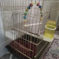 قفس فلزی