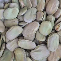 باقله درجه 1(باقالی)