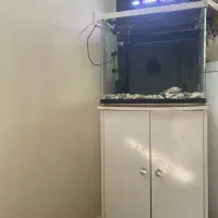 اکواریوم با میز