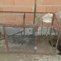 قفس مرغ و پرنده