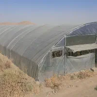 گلخانه طونلی ۲ عدد