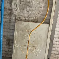 قفس ایستاده پرنده