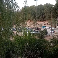 همخونه میشم آقا هستم