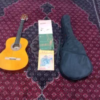 گیتار دیامون|گیتار، بیس، امپلیفایر|زنجان, |دیوار