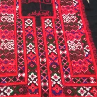 زی استین چرخودست بانو ایرنشهر