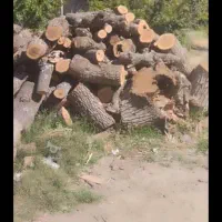 خرید و فروش انواع چوب در حومه بوکان وشاهیندژ