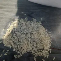 برنج ایرانی هاشمی درجه یک کیلویی ۲۵۰