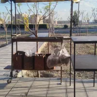 وسایل جگرکی و صبحانه