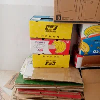 کارتن برای اساس کشی|حراج|قم, هنرستان|دیوار