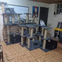 اسکرچر گربه