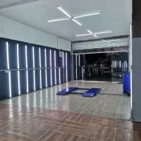 تشخیص رنگ نقیبی|خدمات موتور و ماشین|کرمان, |دیوار