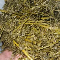 خرید فروش محصولات کشاورزی