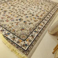 فرش9متری جفت نگین مشهد|فرش|مشهد, هفت تیر (حافظ)|دیوار