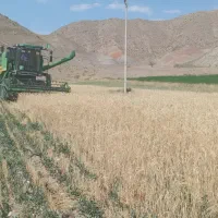کاه حدود۳۰تن قیمت۱۰هزار