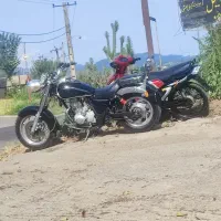 هارلی