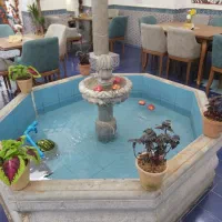 فروش-مغازه
