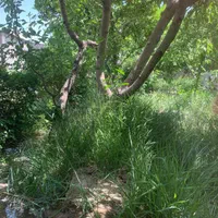 باغچه چهار دیوار ۴۰۰ متری در ملارد(مهرآذین)|فروش زمین و ملک کلنگی|تهران, ستارخان|دیوار