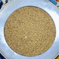 بذر یونجه آمریکایی