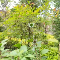 فروش-زمین-دریاگوشه-350-متر