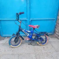 دو عدد دوچرخه